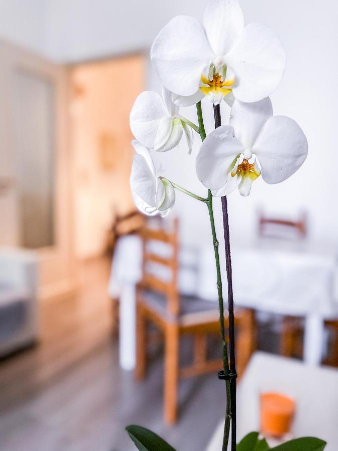 Myhouse Inn Marche - Affitti Brevi Italia Torino Eksteriør billede